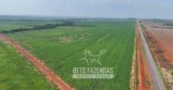 Fazenda à Venda 20.650 Hectares Infraestrutura Completa | Paranatinga/MT