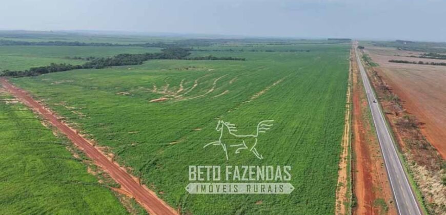 Fazenda à Venda 20.650 Hectares Infraestrutura Completa | Paranatinga/MT