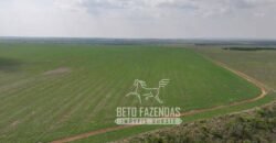 Fazenda à Venda 20.650 Hectares Infraestrutura Completa | Paranatinga/MT