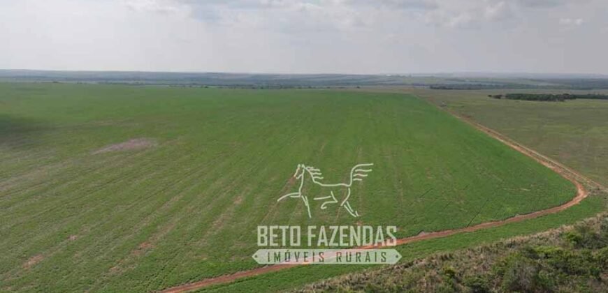 Fazenda à Venda 20.650 Hectares Infraestrutura Completa | Paranatinga/MT