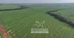 Fazenda à Venda 20.650 Hectares Infraestrutura Completa | Paranatinga/MT