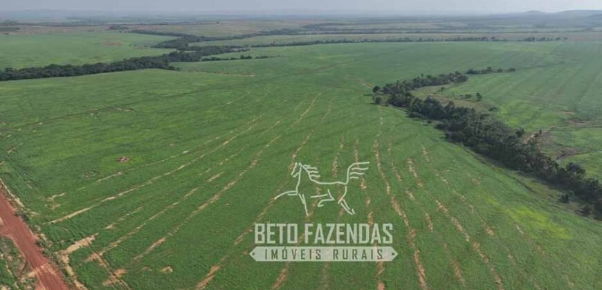 Fazenda à Venda 20.650 Hectares Infraestrutura Completa | Paranatinga/MT