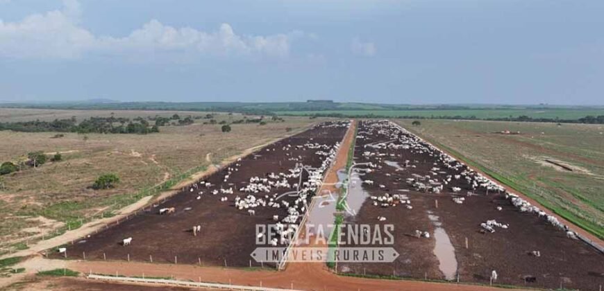 Fazenda à Venda 20.650 Hectares Infraestrutura Completa | Paranatinga/MT