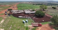 Fazenda à Venda 20.650 Hectares Infraestrutura Completa | Paranatinga/MT