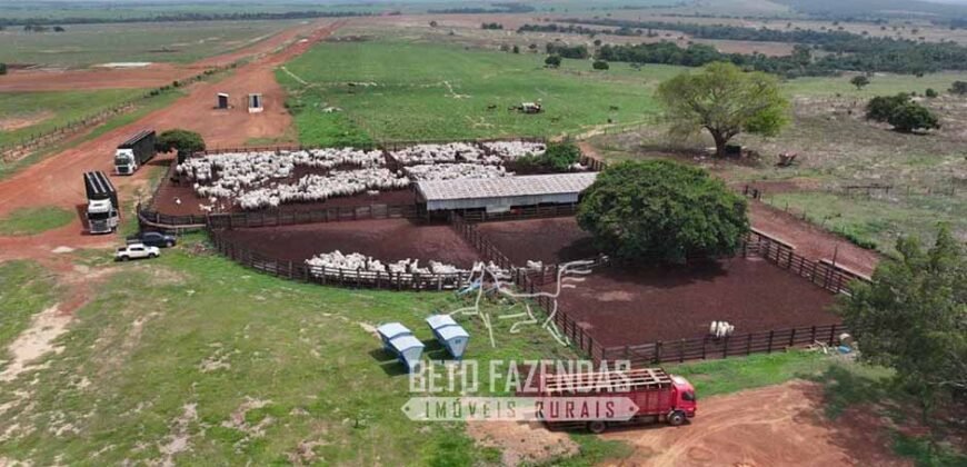 Fazenda à Venda 20.650 Hectares Infraestrutura Completa | Paranatinga/MT