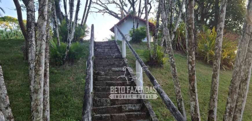 Oportunidade Única: Sítio à Venda 13 Alqueires Produtivo Ótima Localização | Silva Jardim/RJ