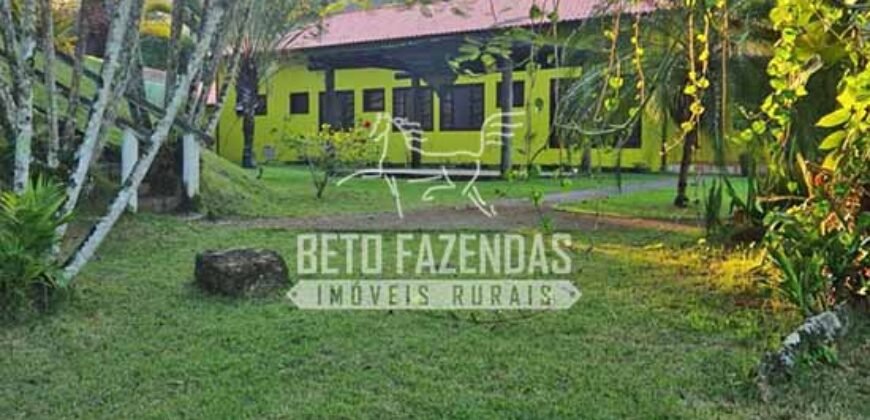 Oportunidade Única: Sítio à Venda 13 Alqueires Produtivo Ótima Localização | Silva Jardim/RJ