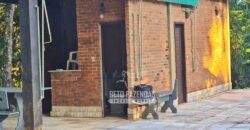 Oportunidade Única: Sítio à Venda 13 Alqueires Produtivo Ótima Localização | Silva Jardim/RJ