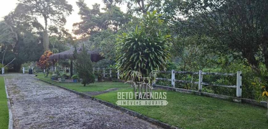 Oportunidade Única: Sítio à Venda 13 Alqueires Produtivo Ótima Localização | Silva Jardim/RJ