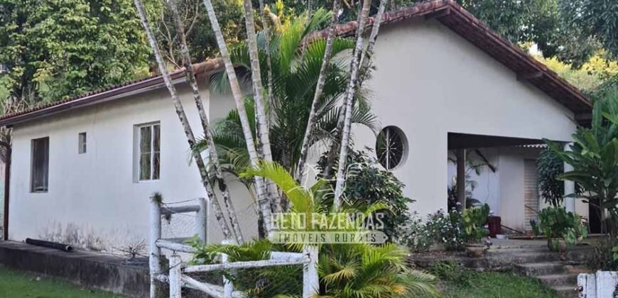 Oportunidade Única: Sítio à Venda 13 Alqueires Produtivo Ótima Localização | Silva Jardim/RJ