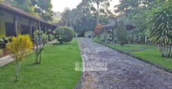 Oportunidade Única: Sítio à Venda 13 Alqueires Produtivo Ótima Localização | Silva Jardim/RJ