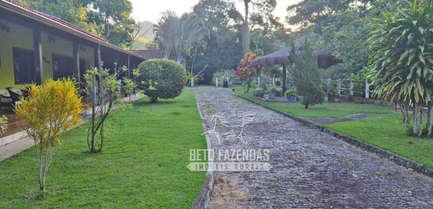 Oportunidade Única: Sítio à Venda 13 Alqueires Produtivo Ótima Localização | Silva Jardim/RJ