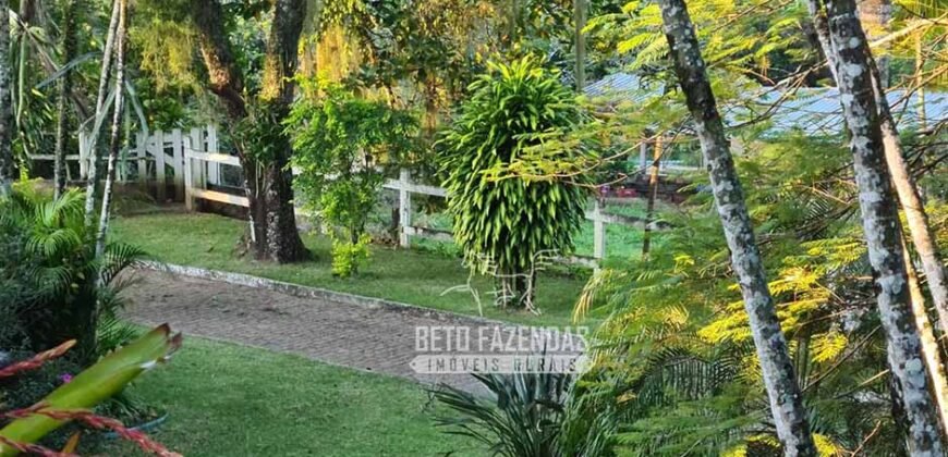 Oportunidade Única: Sítio à Venda 13 Alqueires Produtivo Ótima Localização | Silva Jardim/RJ