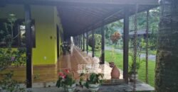 Oportunidade Única: Sítio à Venda 13 Alqueires Produtivo Ótima Localização | Silva Jardim/RJ