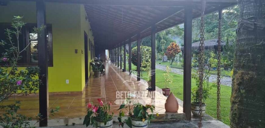 Oportunidade Única: Sítio à Venda 13 Alqueires Produtivo Ótima Localização | Silva Jardim/RJ