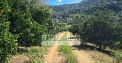 Oportunidade Única: Sítio à Venda 13 Alqueires Produtivo Ótima Localização | Silva Jardim/RJ