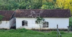 Oportunidade Única: Sítio à Venda 13 Alqueires Produtivo Ótima Localização | Silva Jardim/RJ