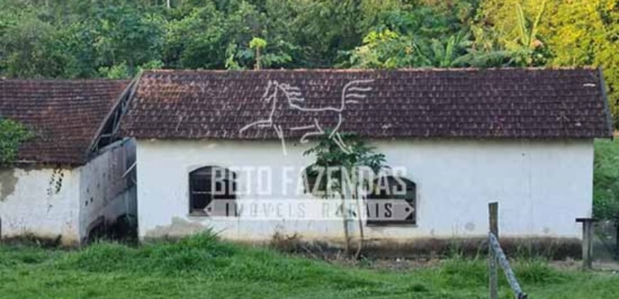 Oportunidade Única: Sítio à Venda 13 Alqueires Produtivo Ótima Localização | Silva Jardim/RJ