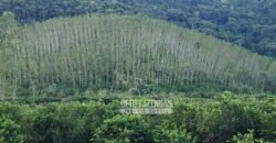 Oportunidade Única: Sítio à Venda 13 Alqueires Produtivo Ótima Localização | Silva Jardim/RJ