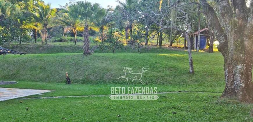 Oportunidade Única: Sítio à Venda 13 Alqueires Produtivo Ótima Localização | Silva Jardim/RJ