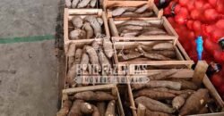 Oportunidade Única: Sítio à Venda 13 Alqueires Produtivo Ótima Localização | Silva Jardim/RJ