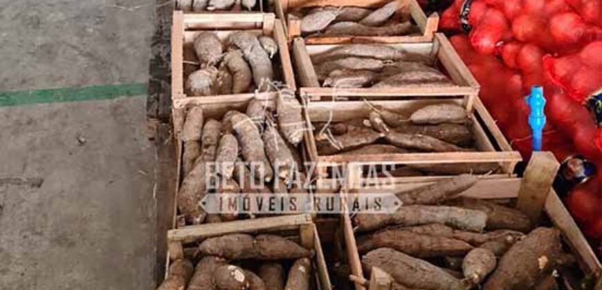 Oportunidade Única: Sítio à Venda 13 Alqueires Produtivo Ótima Localização | Silva Jardim/RJ