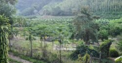 Oportunidade Única: Sítio à Venda 13 Alqueires Produtivo Ótima Localização | Silva Jardim/RJ