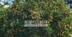 Oportunidade Única: Sítio à Venda 13 Alqueires Produtivo Ótima Localização | Silva Jardim/RJ