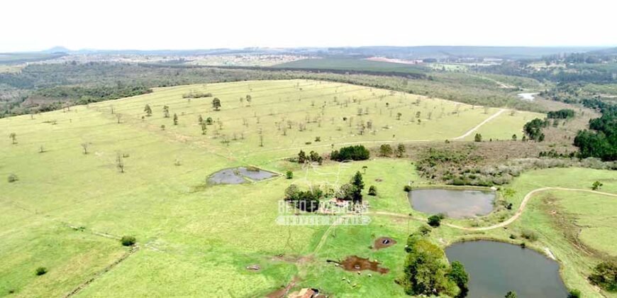 Fazenda à Venda 292 Alqueires Lavoura, Mineral e Pasto | Boquete/ SP Fazenda à Venda 292 Alqueires Lavoura, Mineral e Pasto | Boquete/ SP