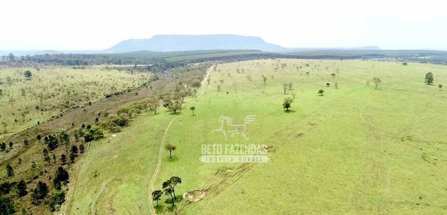Fazenda à Venda 292 Alqueires Lavoura, Mineral e Pasto | Boquete/ SP Fazenda à Venda 292 Alqueires Lavoura, Mineral e Pasto | Boquete/ SP