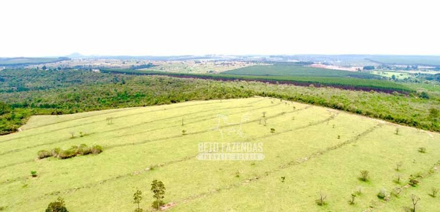 Fazenda à Venda 292 Alqueires Lavoura, Mineral e Pasto | Boquete/ SP Fazenda à Venda 292 Alqueires Lavoura, Mineral e Pasto | Boquete/ SP