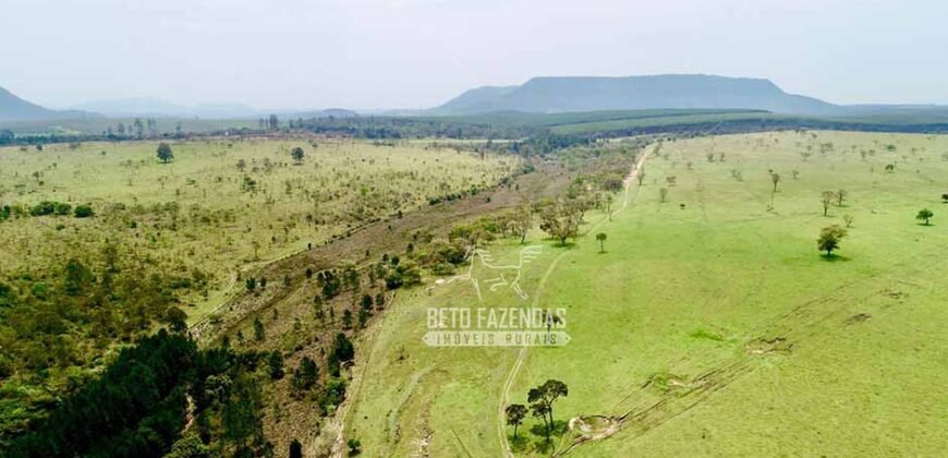 Fazenda à Venda 292 Alqueires Lavoura, Mineral e Pasto | Boquete/ SP Fazenda à Venda 292 Alqueires Lavoura, Mineral e Pasto | Boquete/ SP