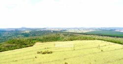 Fazenda à Venda 292 Alqueires Lavoura, Mineral e Pasto | Boquete/ SP Fazenda à Venda 292 Alqueires Lavoura, Mineral e Pasto | Boquete/ SP