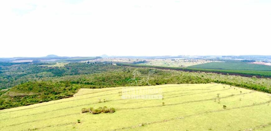 Fazenda à Venda 292 Alqueires Lavoura, Mineral e Pasto | Boquete/ SP Fazenda à Venda 292 Alqueires Lavoura, Mineral e Pasto | Boquete/ SP