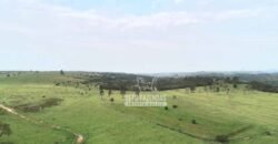 Fazenda à Venda 292 Alqueires Lavoura, Mineral e Pasto | Boquete/ SP Fazenda à Venda 292 Alqueires Lavoura, Mineral e Pasto | Boquete/ SP