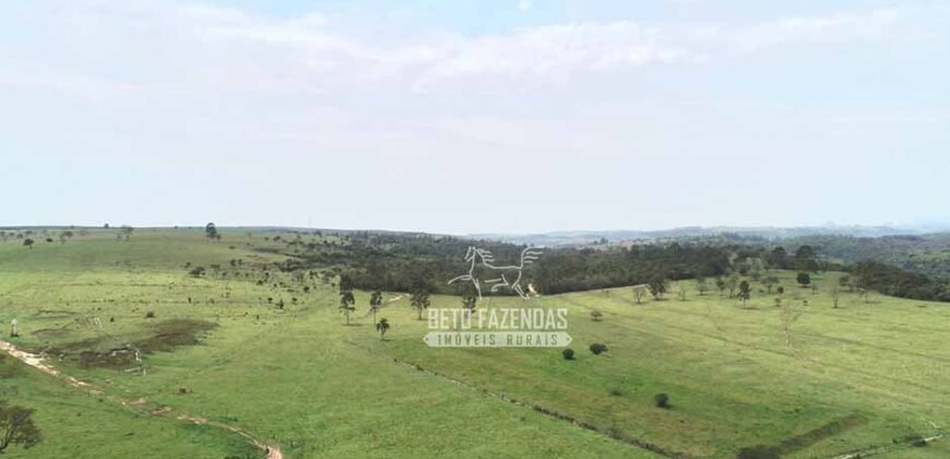 Fazenda à Venda 292 Alqueires Lavoura, Mineral e Pasto | Boquete/ SP Fazenda à Venda 292 Alqueires Lavoura, Mineral e Pasto | Boquete/ SP