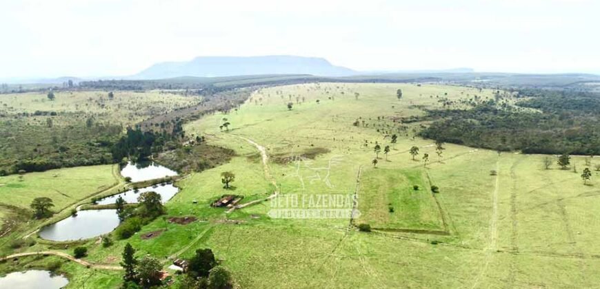 Fazenda à Venda 292 Alqueires Lavoura, Mineral e Pasto | Boquete/ SP Fazenda à Venda 292 Alqueires Lavoura, Mineral e Pasto | Boquete/ SP