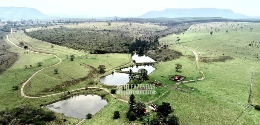 Fazenda à Venda 292 Alqueires Lavoura, Mineral e Pasto | Boquete/ SP Fazenda à Venda 292 Alqueires Lavoura, Mineral e Pasto | Boquete/ SP