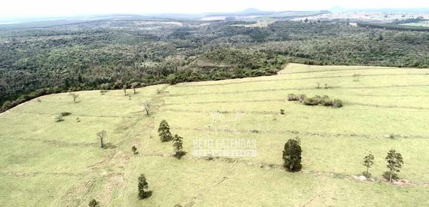 Fazenda à Venda 292 Alqueires Lavoura, Mineral e Pasto | Boquete/ SP Fazenda à Venda 292 Alqueires Lavoura, Mineral e Pasto | Boquete/ SP
