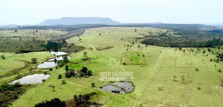 Fazenda à Venda 292 Alqueires Lavoura, Mineral e Pasto | Boquete/ SP Fazenda à Venda 292 Alqueires Lavoura, Mineral e Pasto | Boquete/ SP