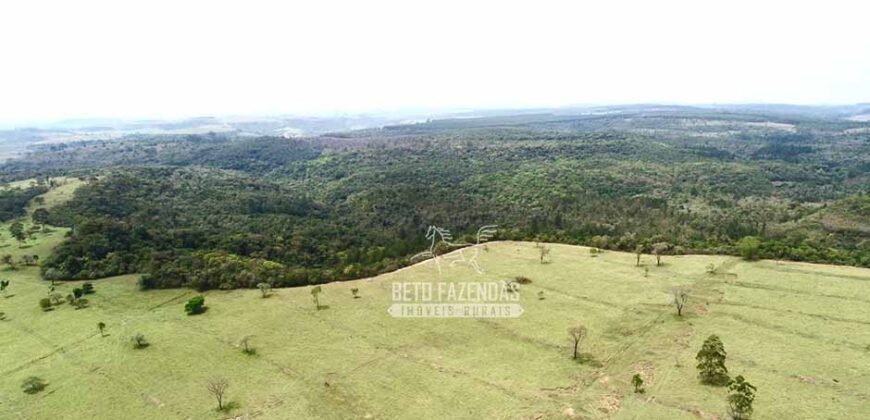 Fazenda à Venda 292 Alqueires Lavoura, Mineral e Pasto | Boquete/ SP Fazenda à Venda 292 Alqueires Lavoura, Mineral e Pasto | Boquete/ SP
