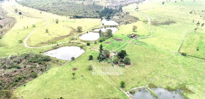 Fazenda à Venda 292 Alqueires Lavoura, Mineral e Pasto | Boquete/ SP Fazenda à Venda 292 Alqueires Lavoura, Mineral e Pasto | Boquete/ SP
