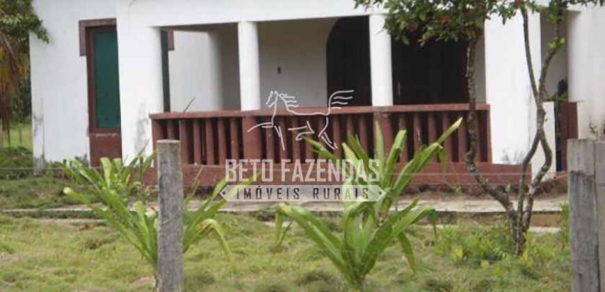 Fazenda à Venda 87.945 Hectares para Pecuária no Pantanal | Cáceres/ MT