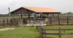 Fazenda à Venda 87.945 Hectares para Pecuária no Pantanal | Cáceres/ MT