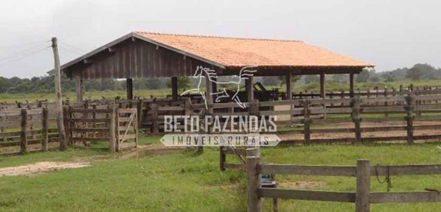 Fazenda à Venda 87.945 Hectares para Pecuária no Pantanal | Cáceres/ MT