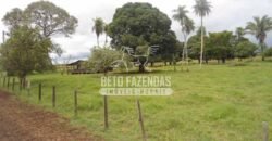 Fazenda à Venda 87.945 Hectares para Pecuária no Pantanal | Cáceres/ MT
