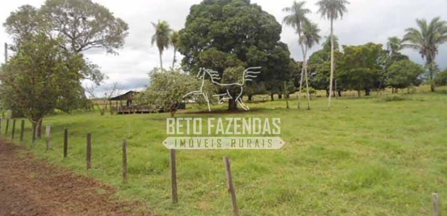 Fazenda à Venda 87.945 Hectares para Pecuária no Pantanal | Cáceres/ MT