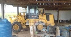 Fazenda à Venda 87.945 Hectares para Pecuária no Pantanal | Cáceres/ MT