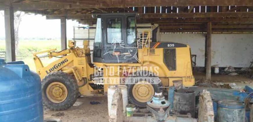 Fazenda à Venda 87.945 Hectares para Pecuária no Pantanal | Cáceres/ MT