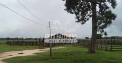 Fazenda à Venda 87.945 Hectares para Pecuária no Pantanal | Cáceres/ MT